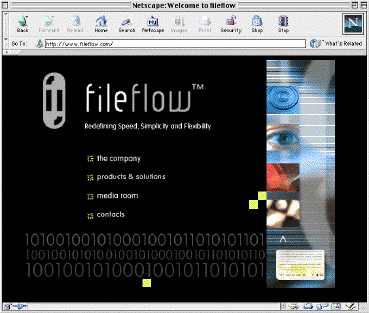 IMAGE FileFlow.pm01.gif